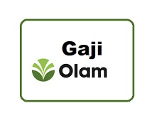 Gaji PT Olam Indonesia