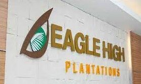 Gaji PT Eagle High Plantations