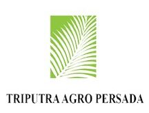 Gaji PT Triputra Agro Persada Group